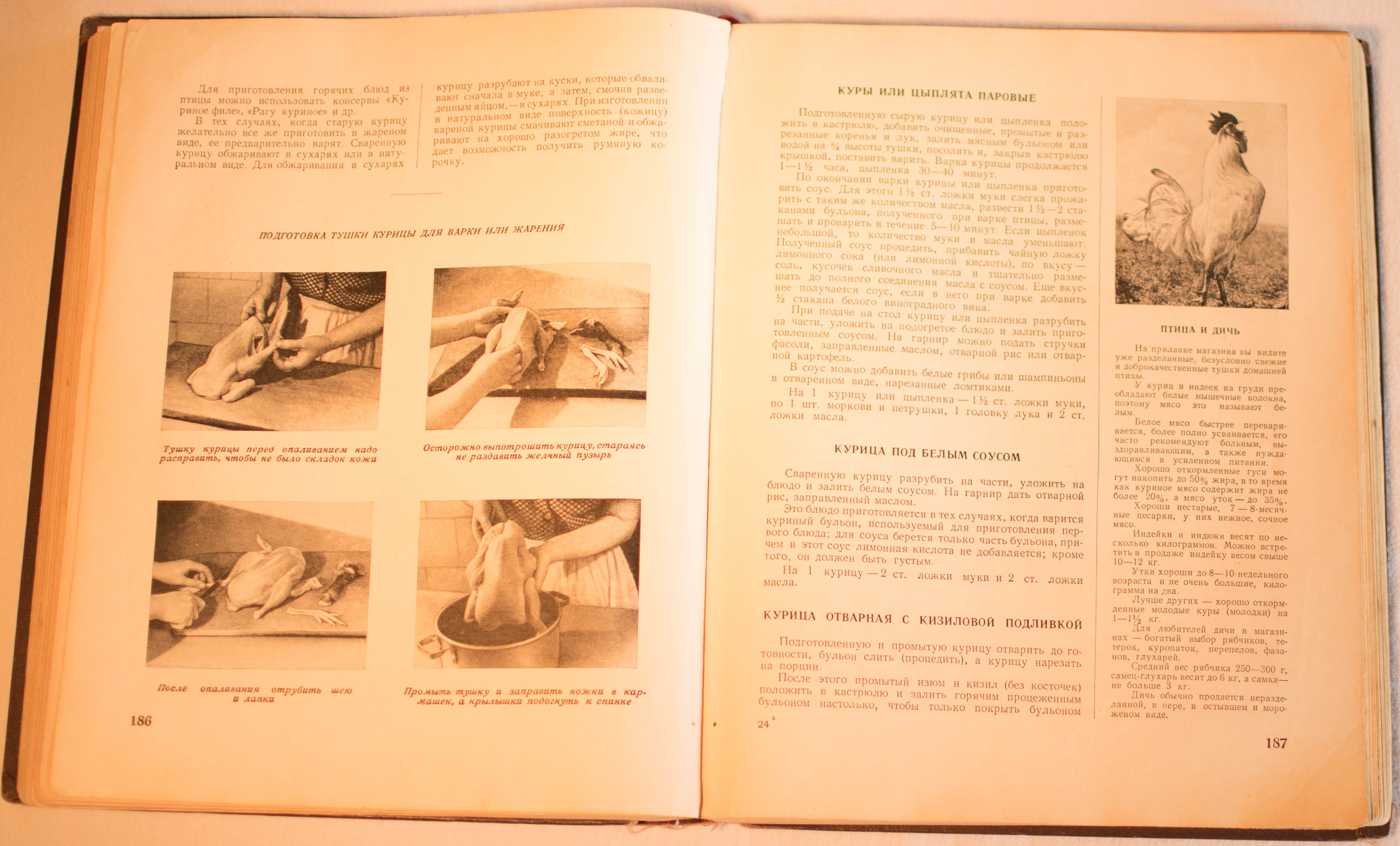 cookbook page set