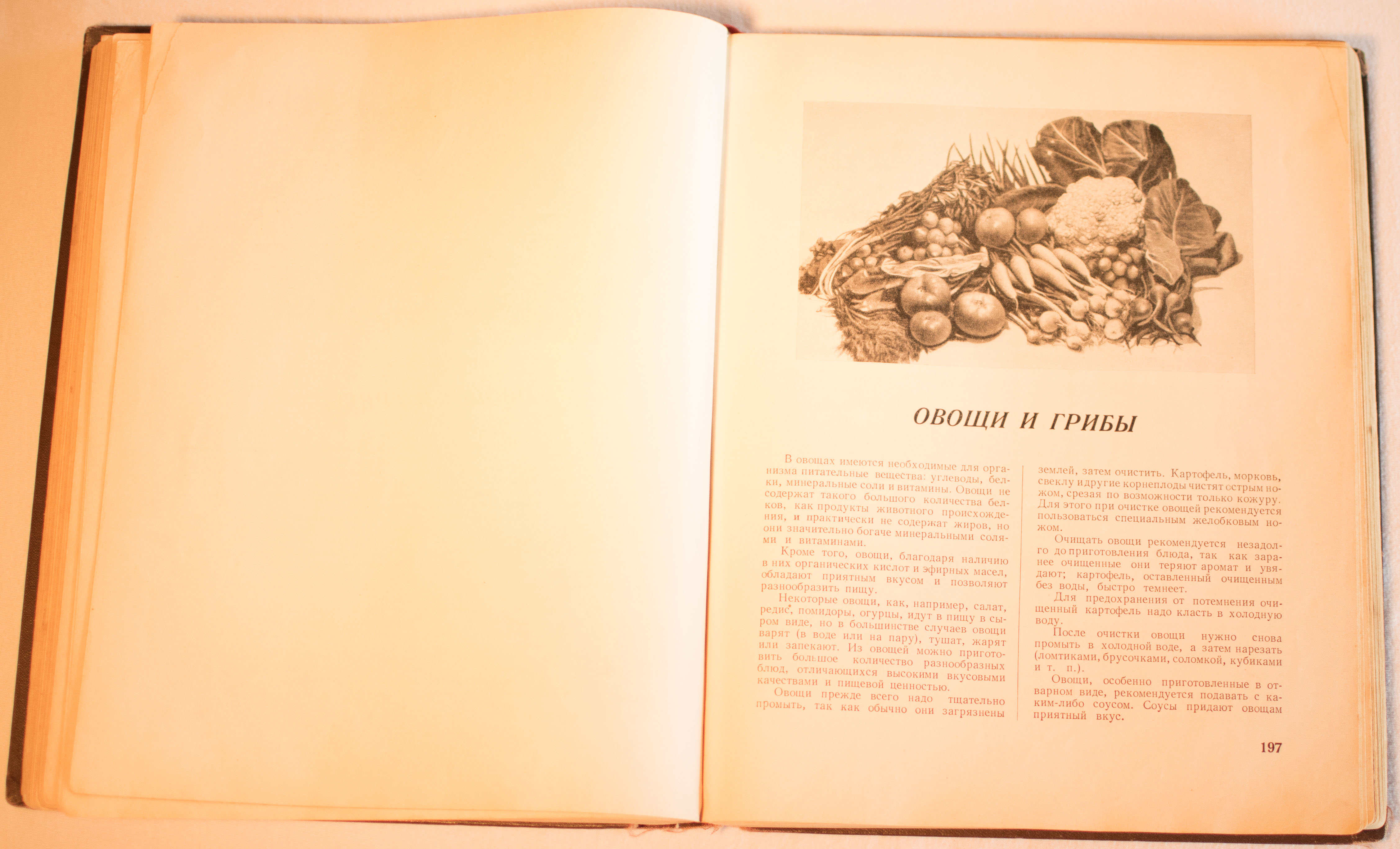 cookbook page set