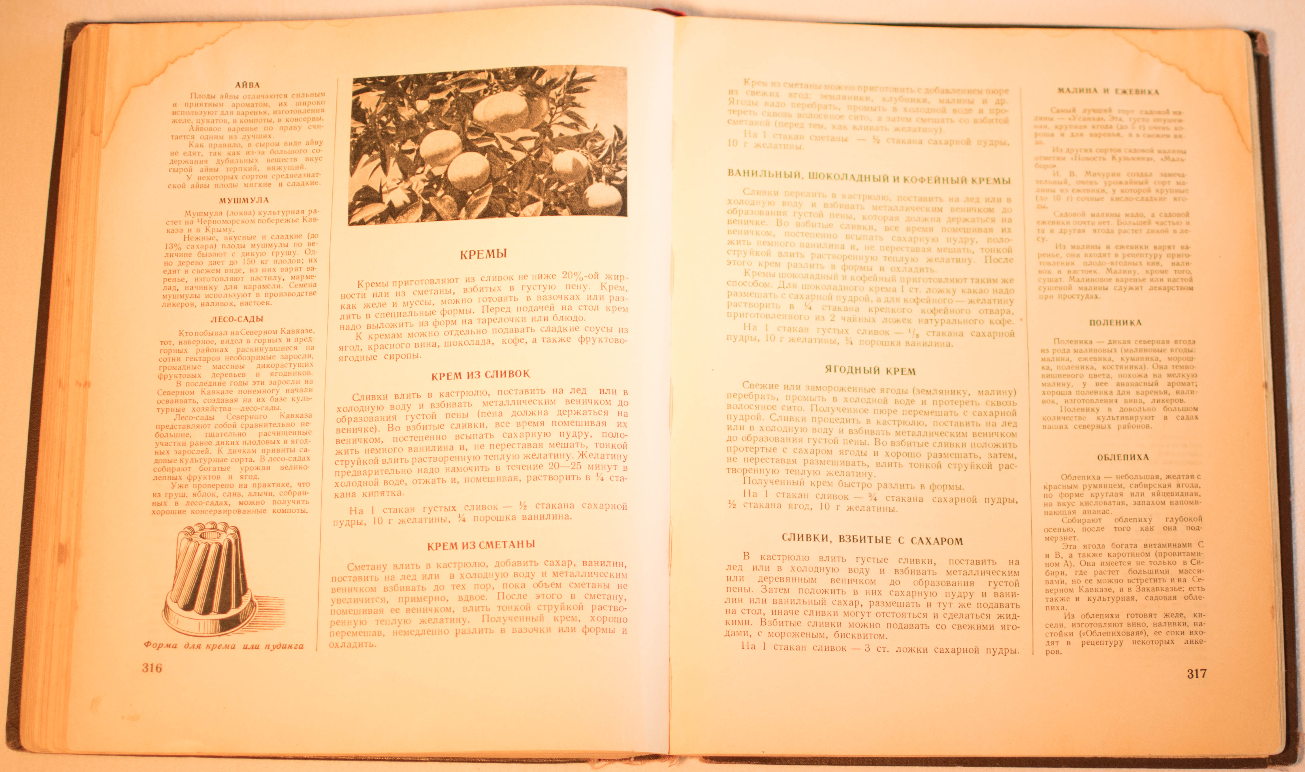 cookbook page set