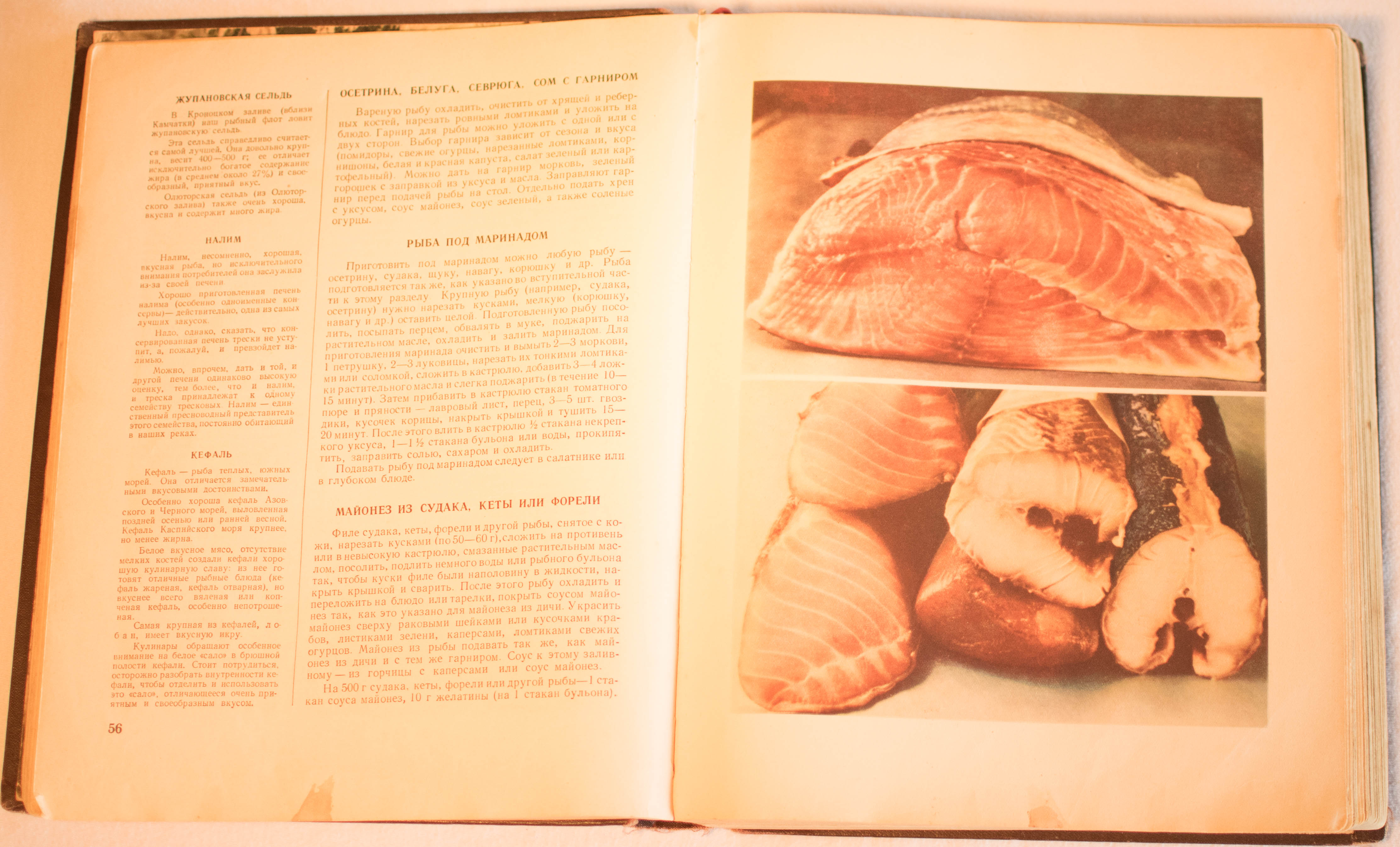 cookbook page set