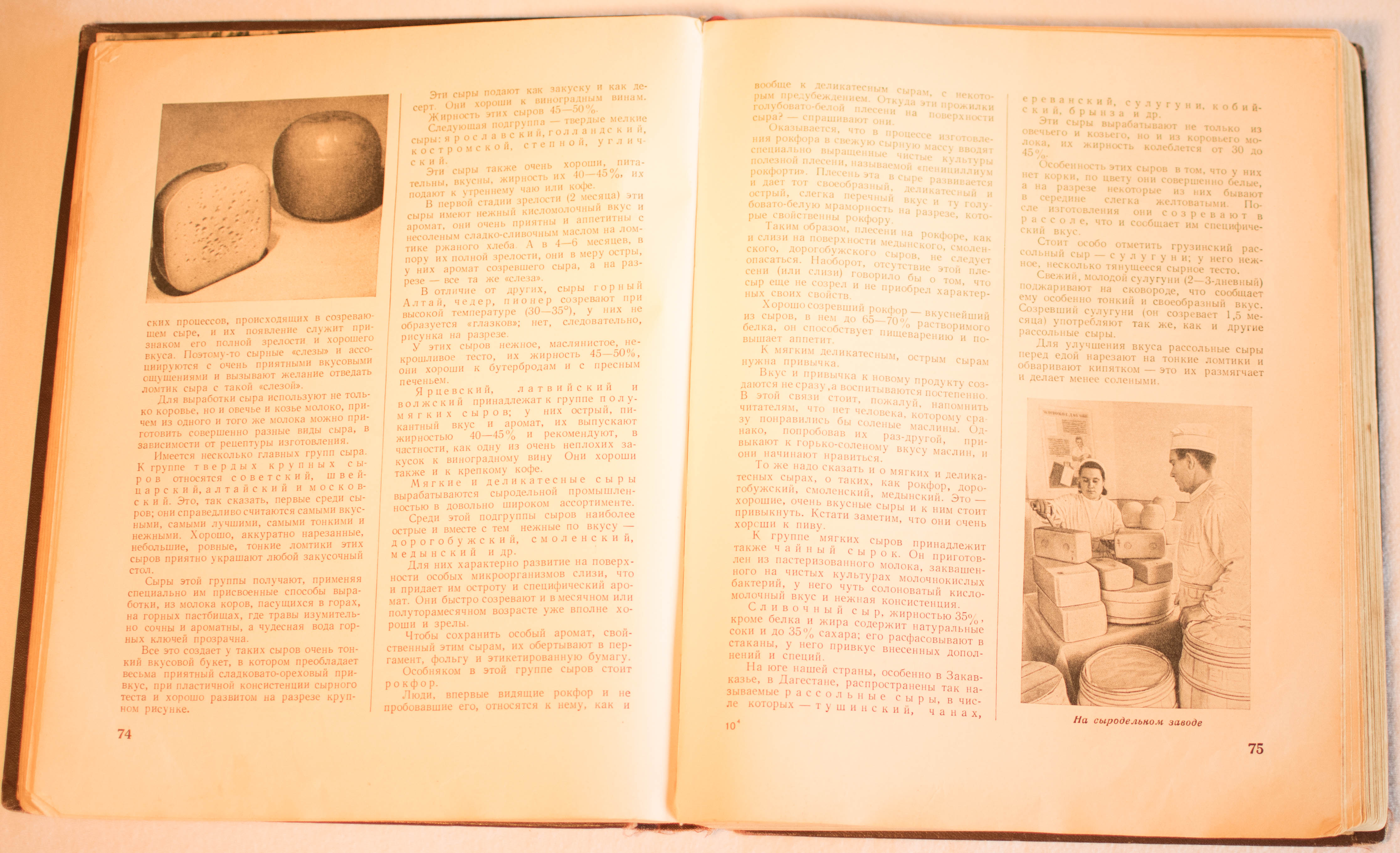 cookbook page set