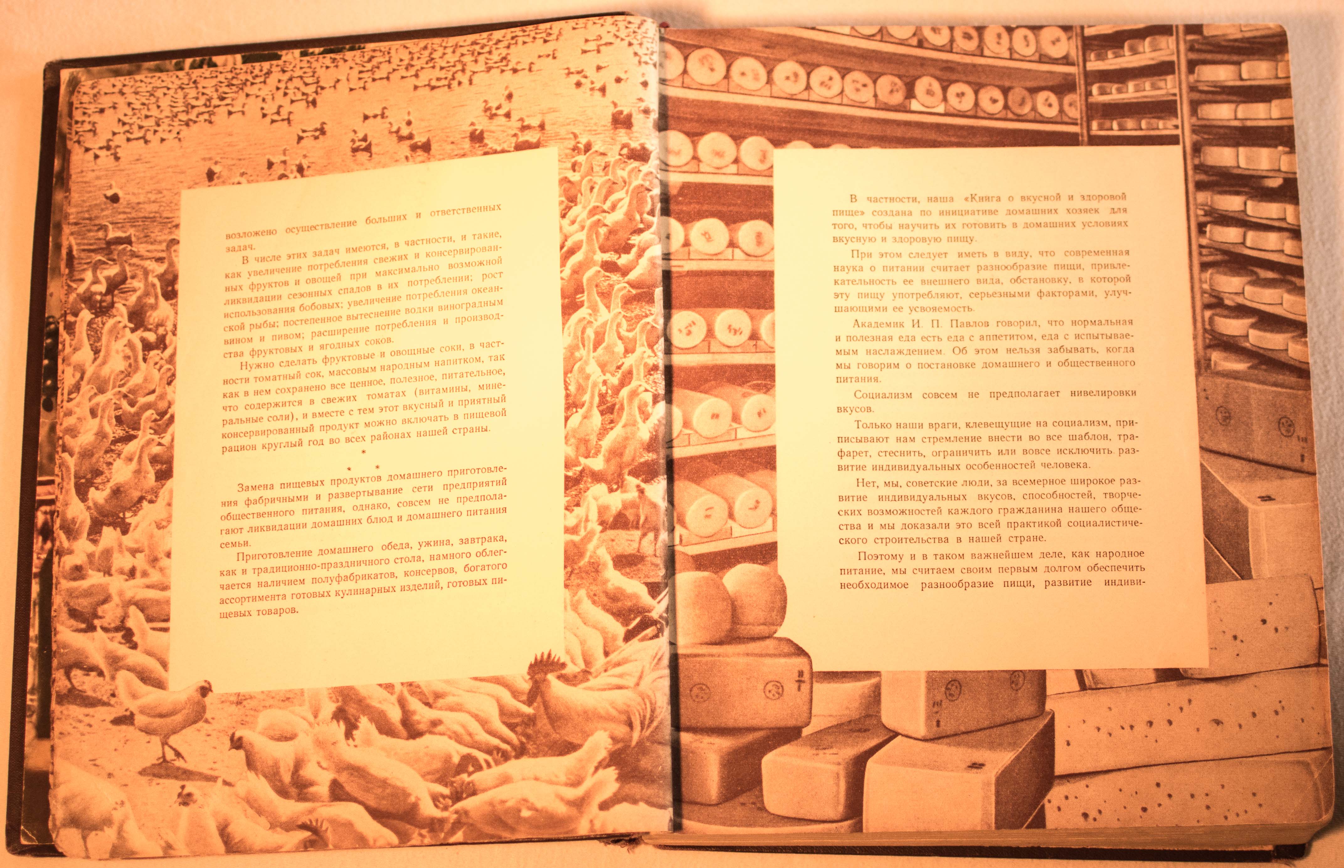 cookbook page set