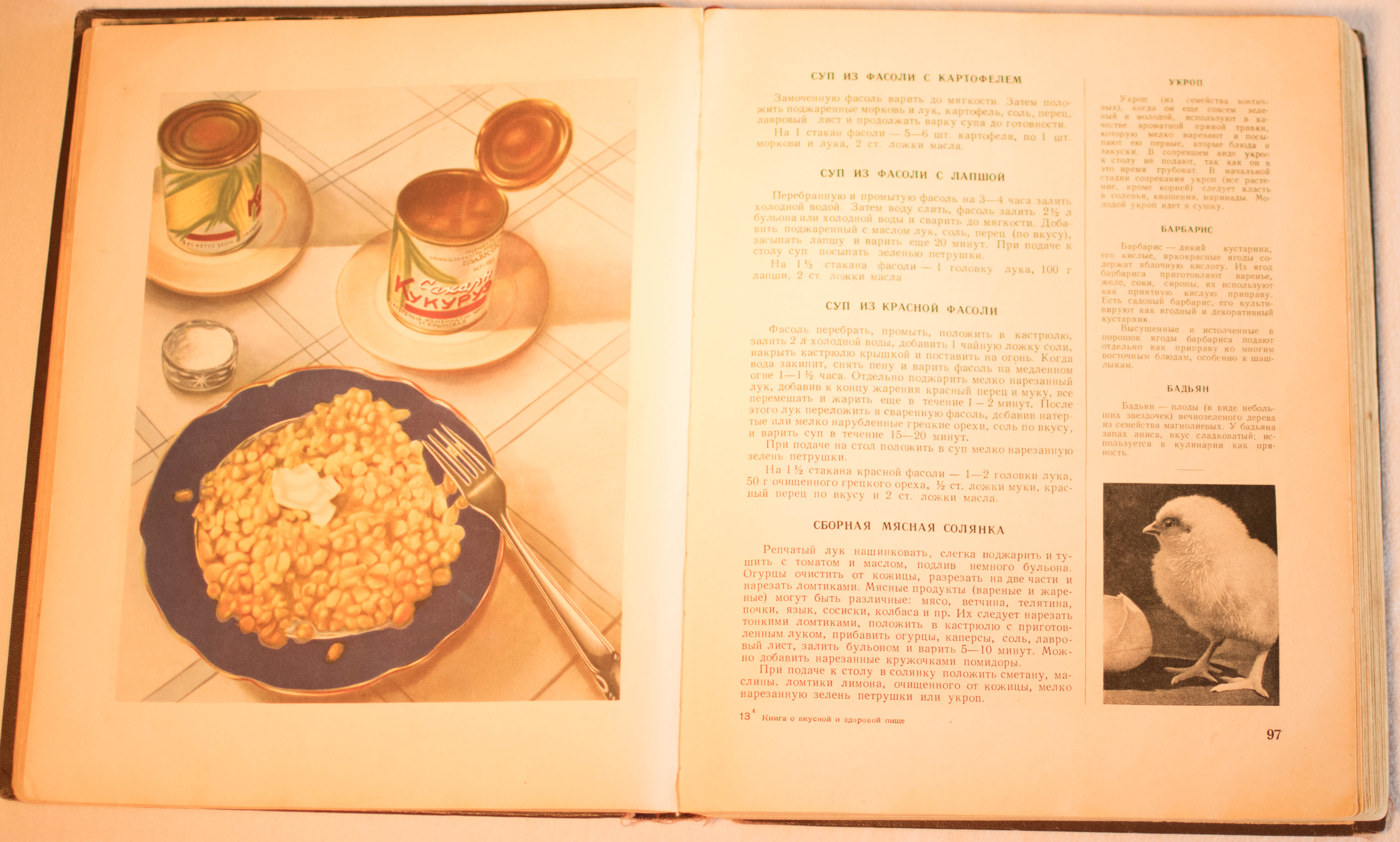 cookbook page set