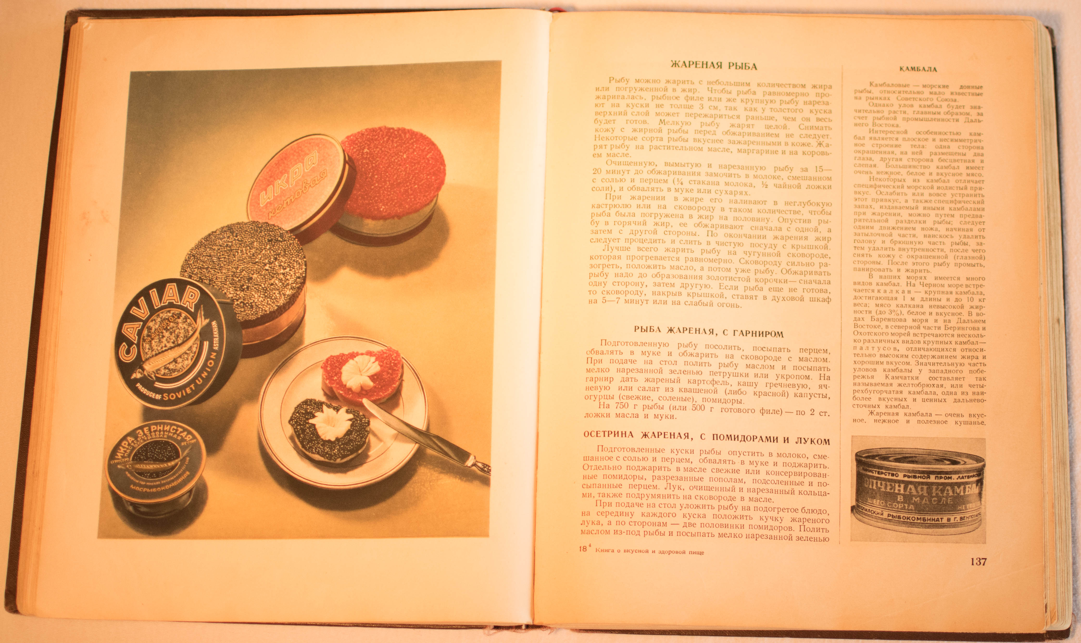 cookbook page set