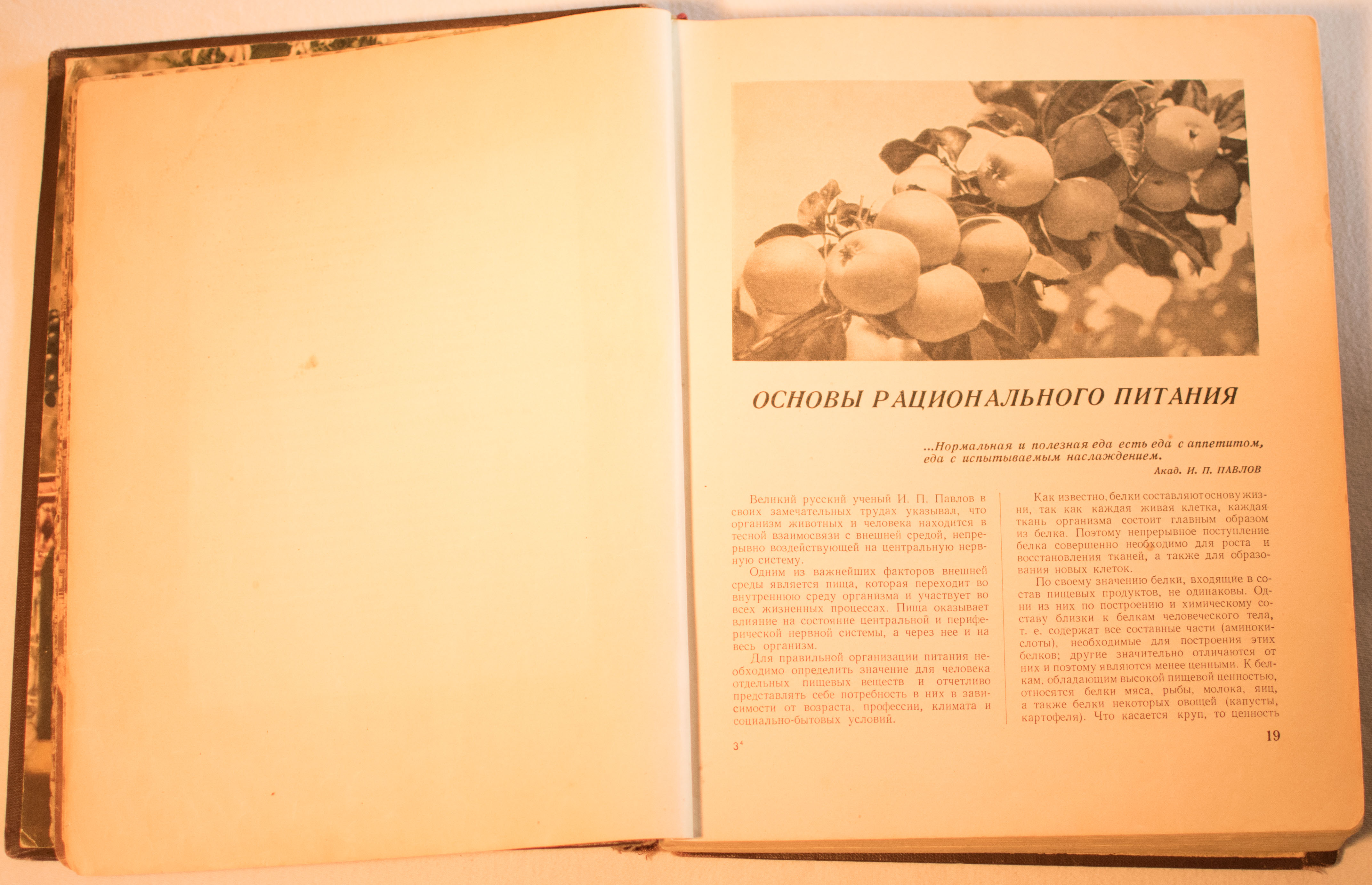 cookbook page set