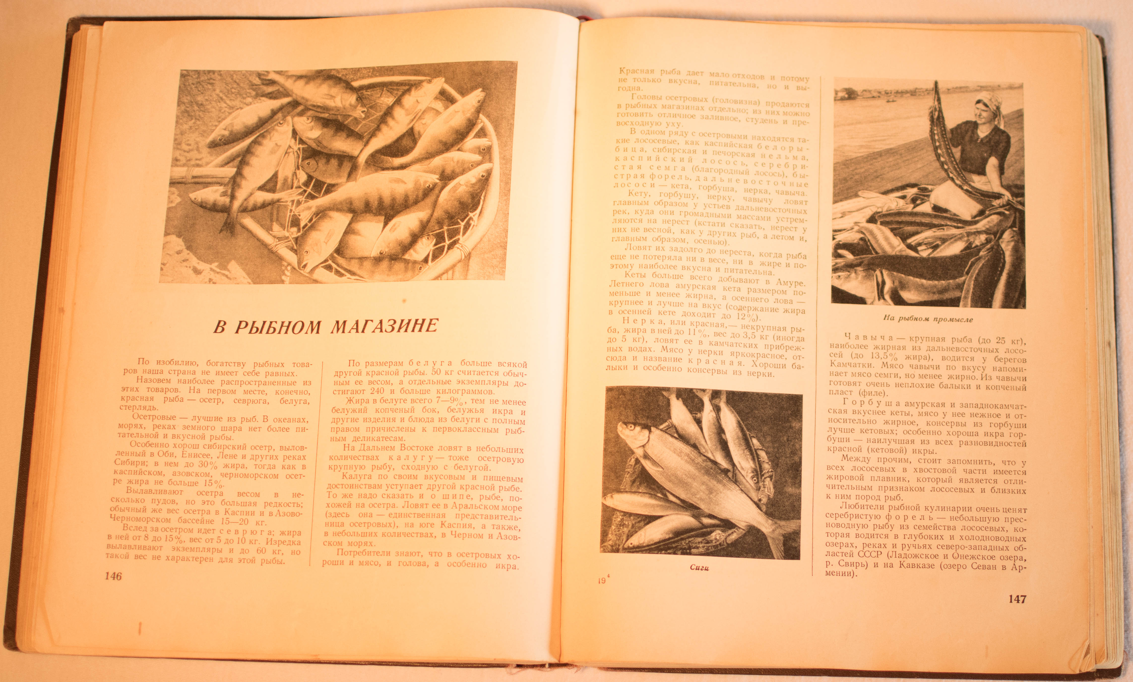 cookbook page set