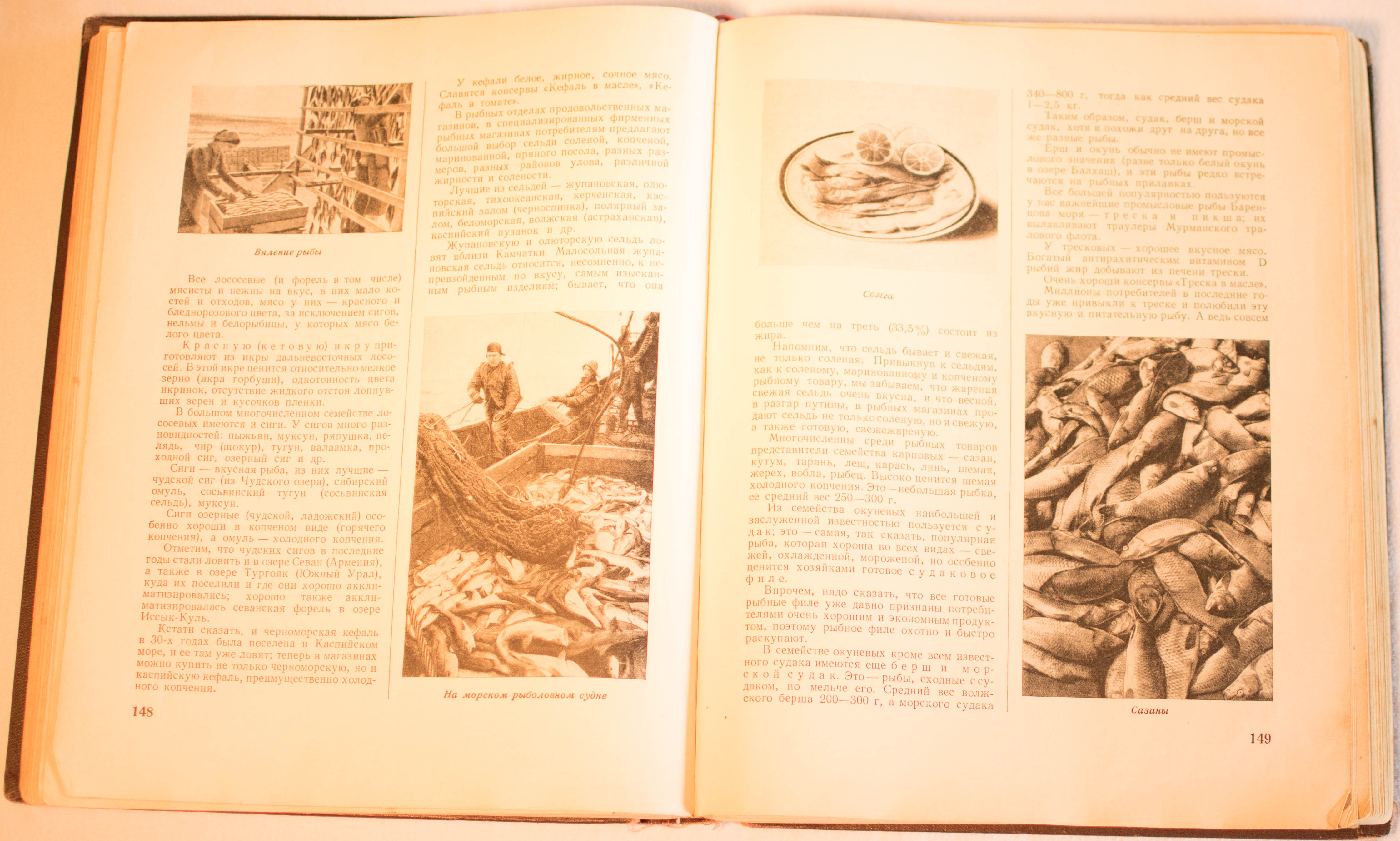 cookbook page set