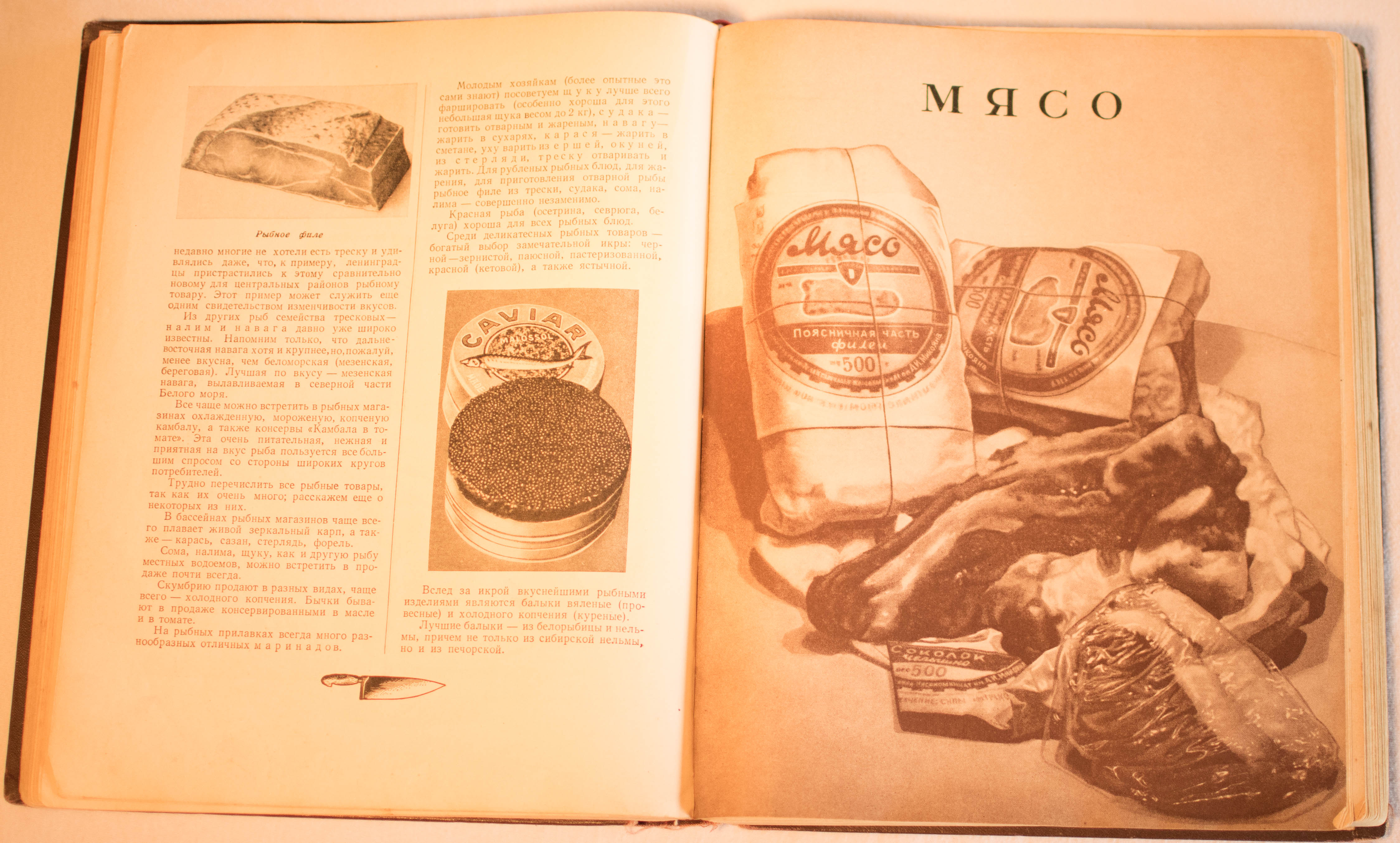 cookbook page set