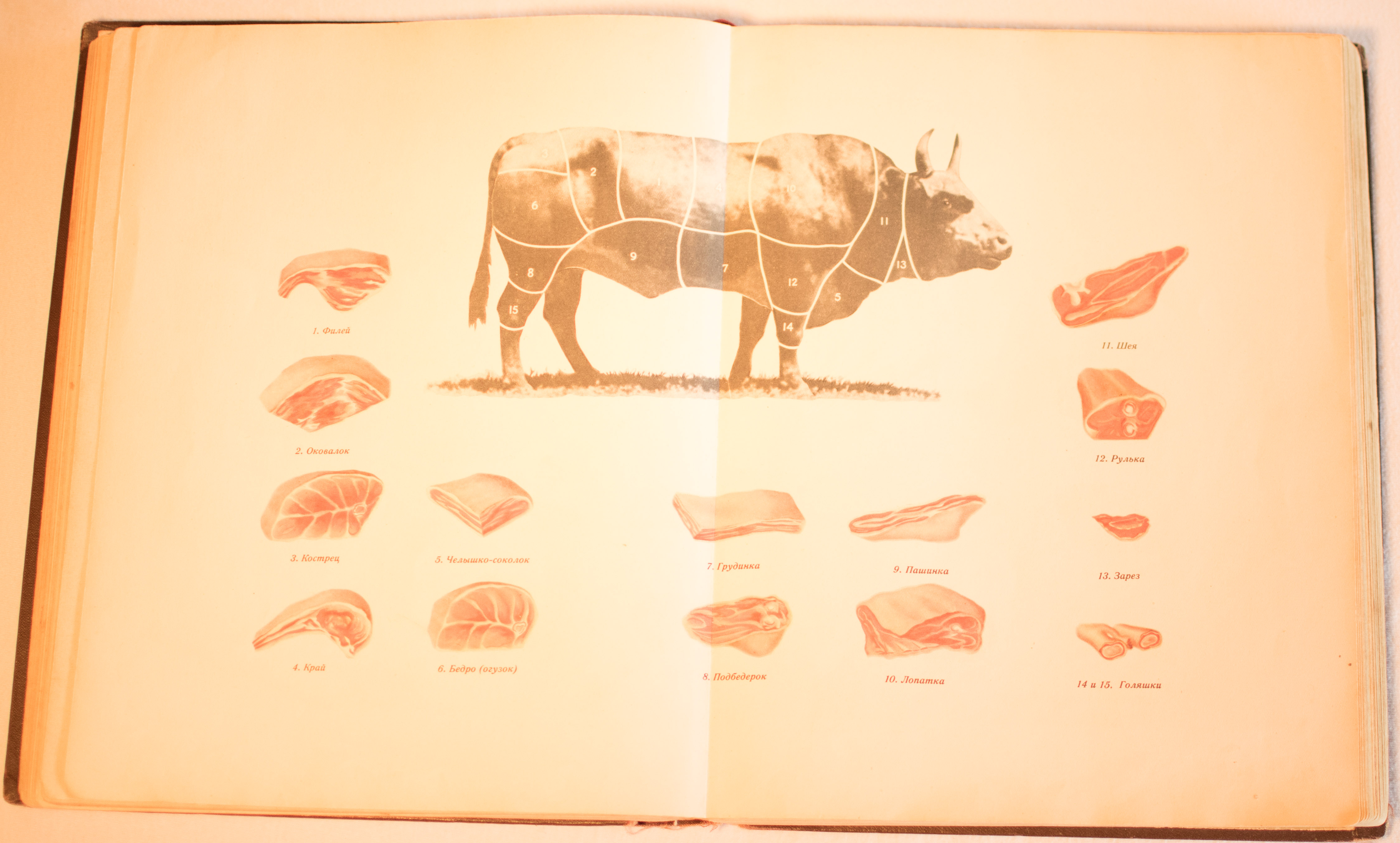 cookbook page set